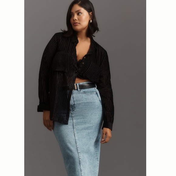 Anthropologie Tops - NWT Anthropologie Pilcro Velvet Burnout Long Sleeve Buttondown Blouse 2X